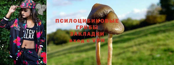 гидра Алексин