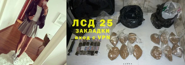 гидра Алексеевка