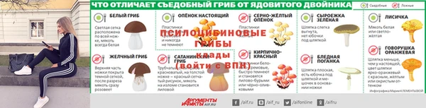 гидра Алексеевка