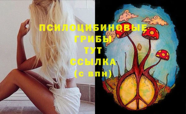 гидра Алексеевка